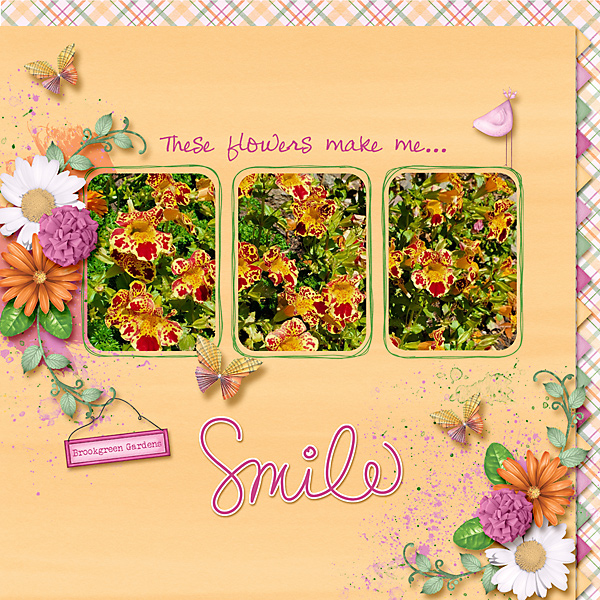 Flowers Make Me Smile