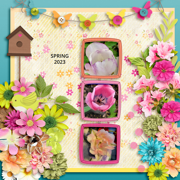 flowers -MEMORY-MAR24