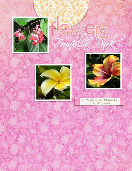 Flowers of Franklin Park