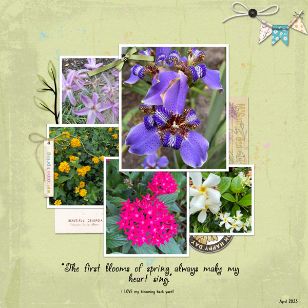 Flowers of Spring