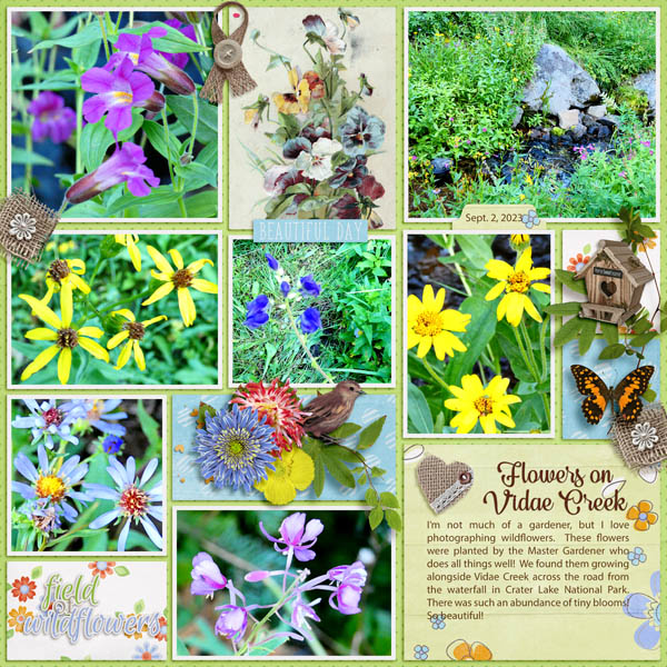 Flowers on Vidae Creek