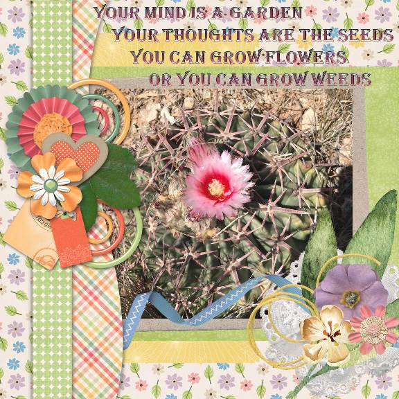 Flowers or weeds