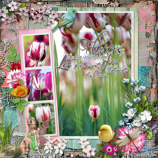 Flowers Paradise