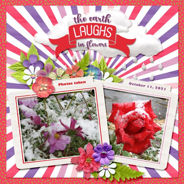flowers small.jpg