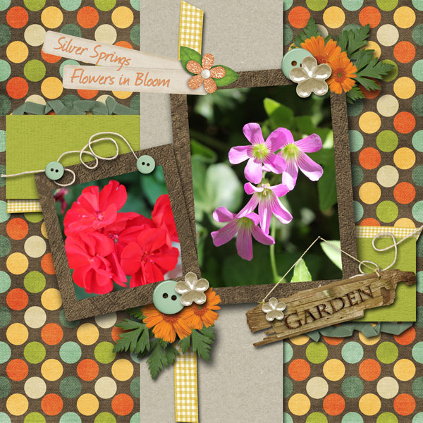 Flowers