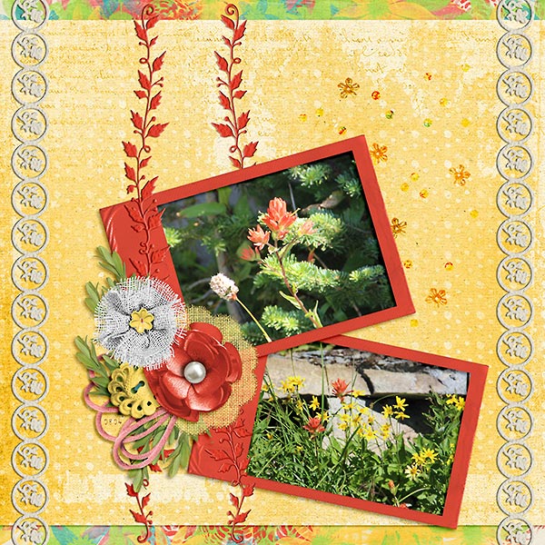 Flowers