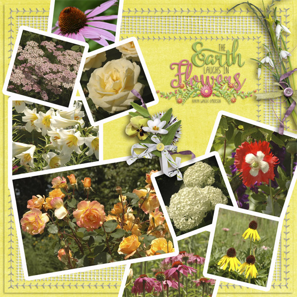 Flowers