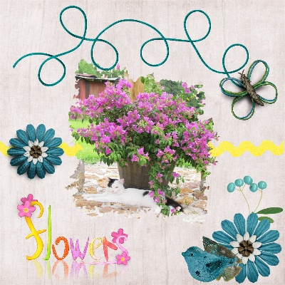 Flowers