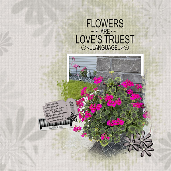 Flowers