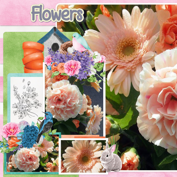 flowers