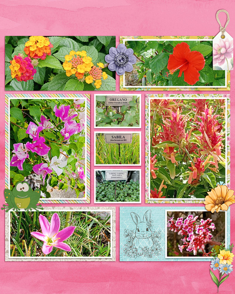 flowers