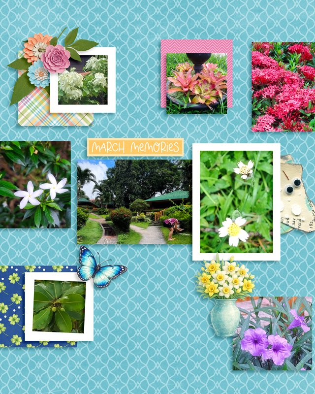 flowers