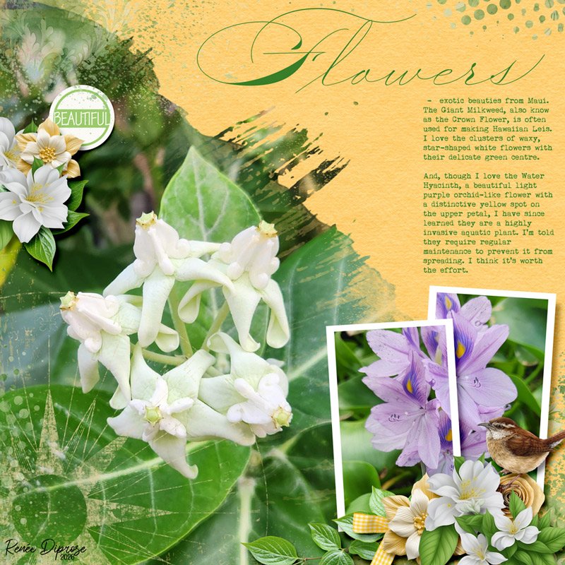Flowers