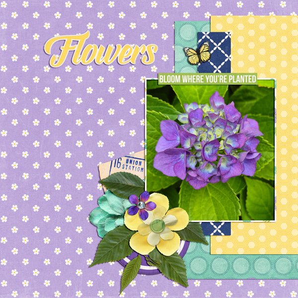 flowers
