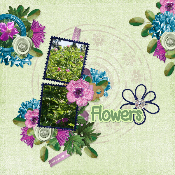 flowers49