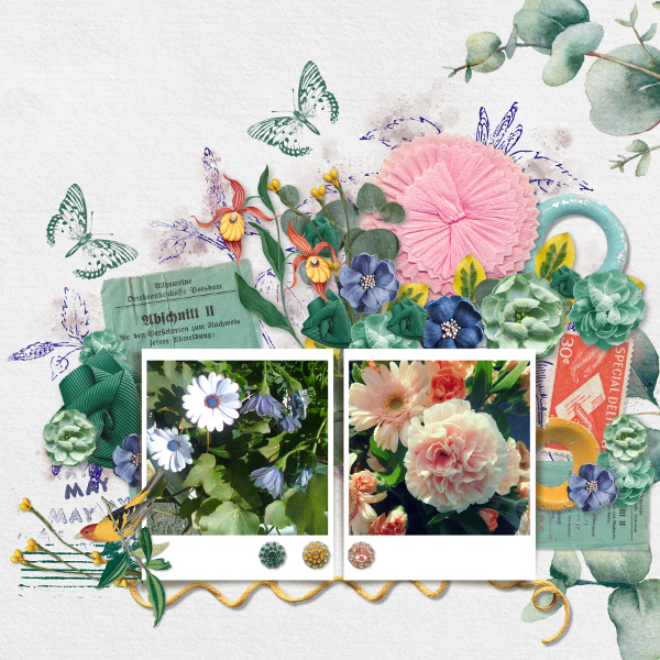 flowers54