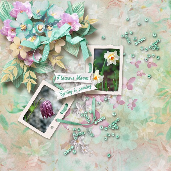 Flowers_bloom