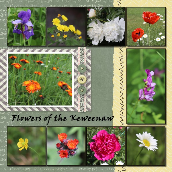 Flowers_of_the_Keweenaw