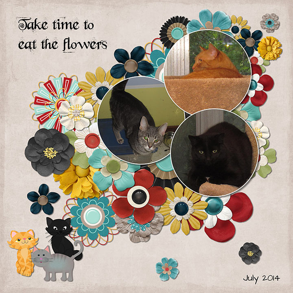 Flowery Cats