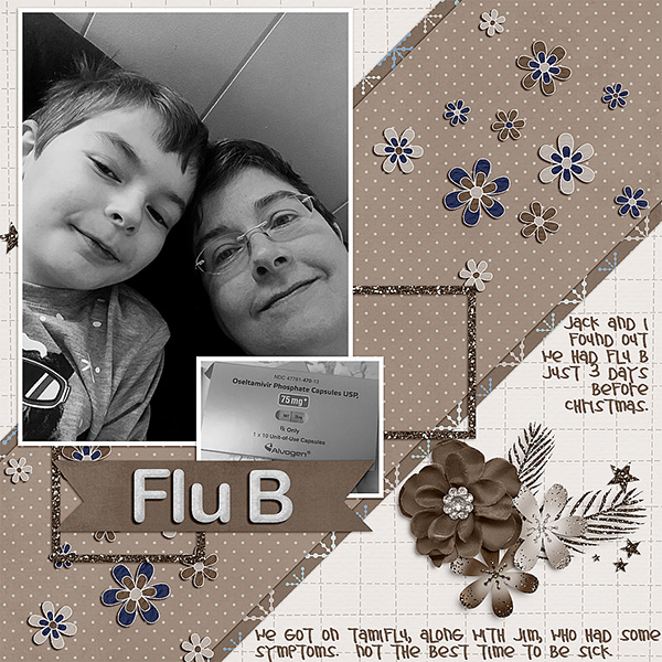 Flu B 2017