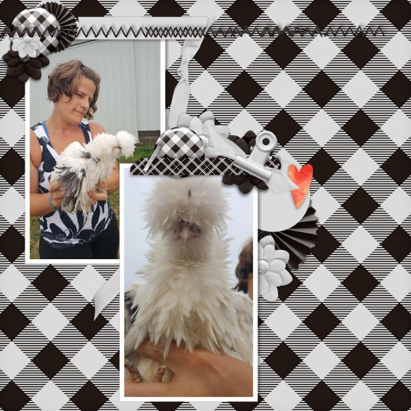 Fluffy Chicken