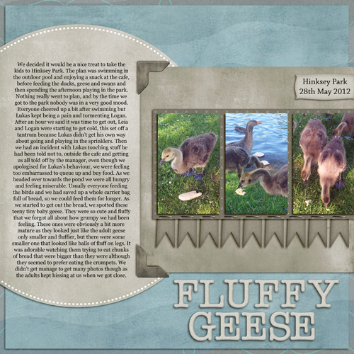 Fluffy Geese