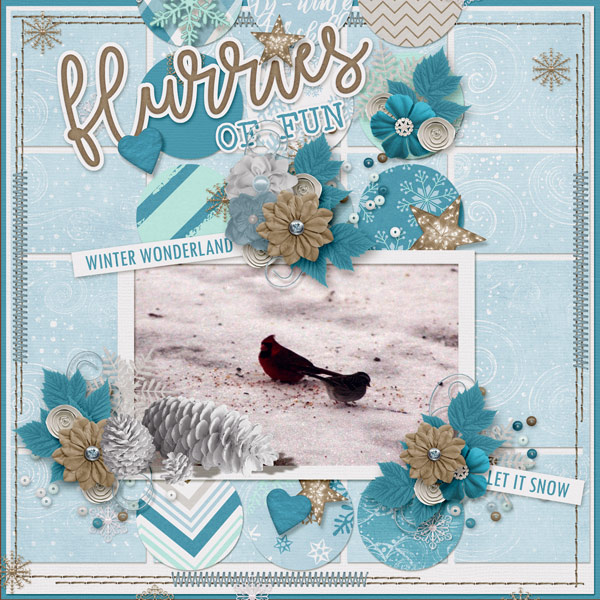 Flurries of Fun