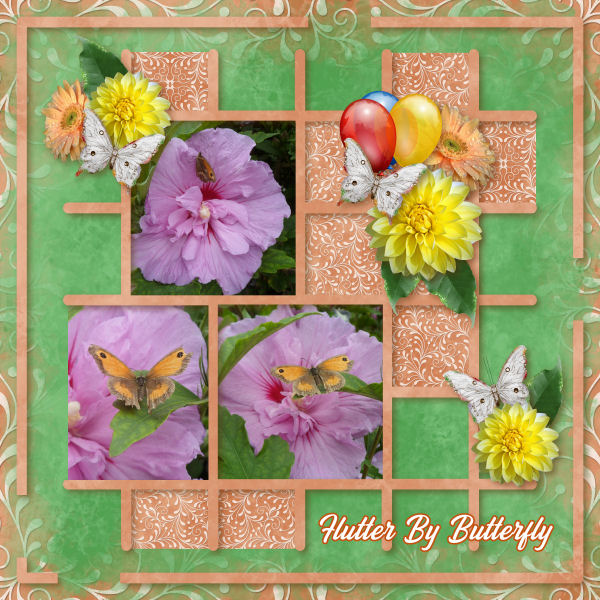 Flutter By Butterfly
