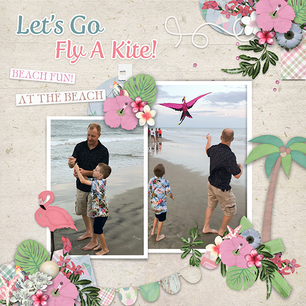 Fly a Kite