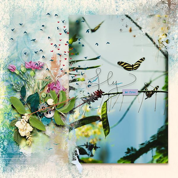 Fly Be Free