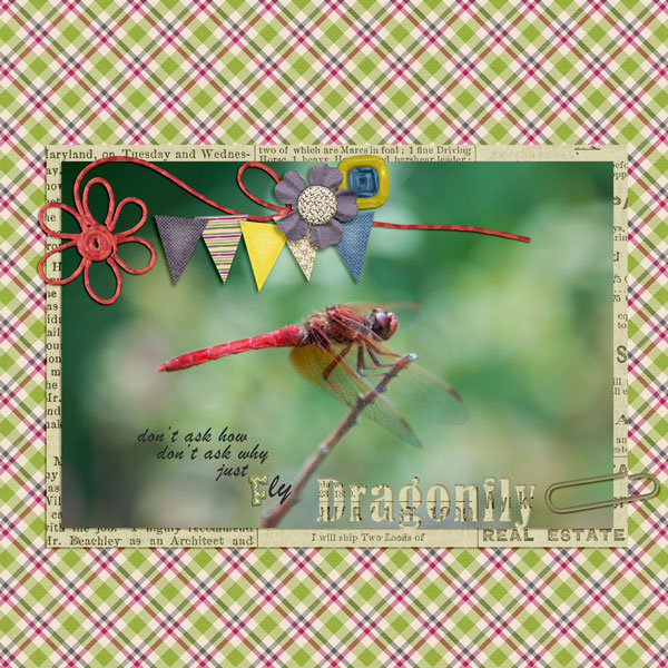 Fly Dragonfly