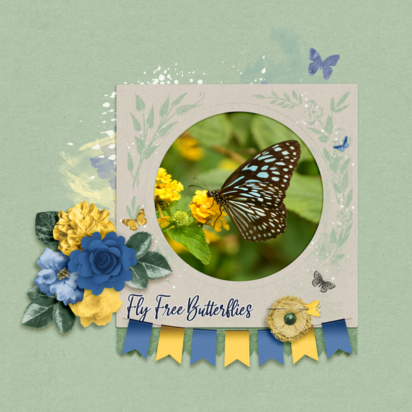 Fly Free Butterfly