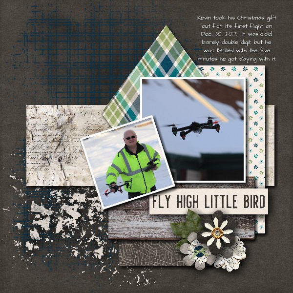 Fly High Little Bird