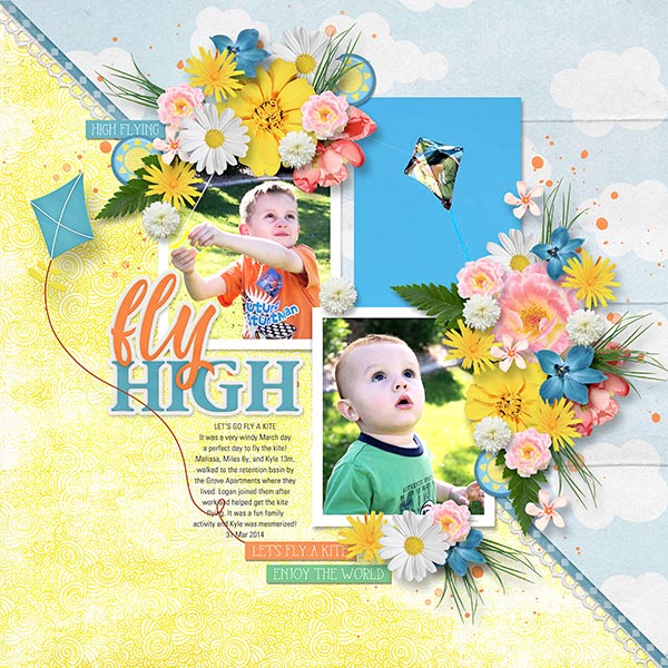 FLY HIGH