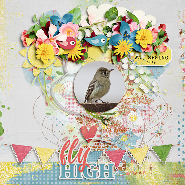 Fly High