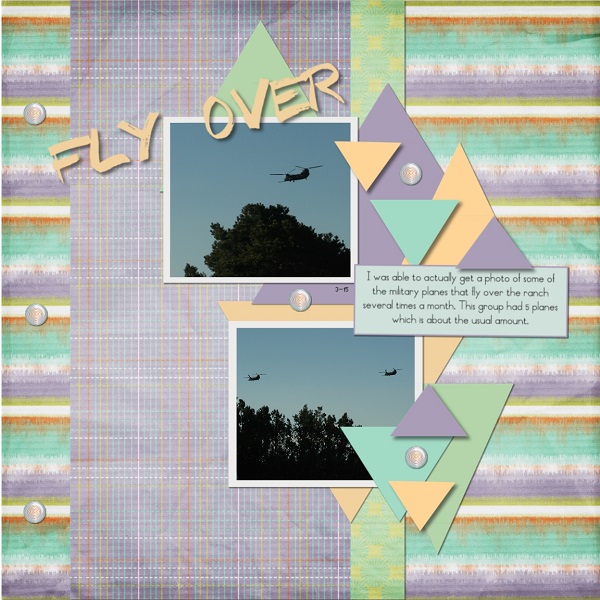 Fly Over