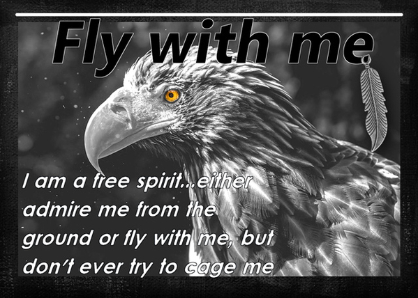 Fly with me