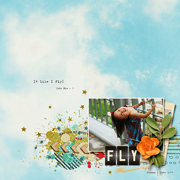 Fly