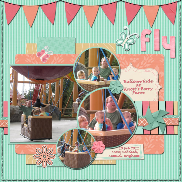 Fly