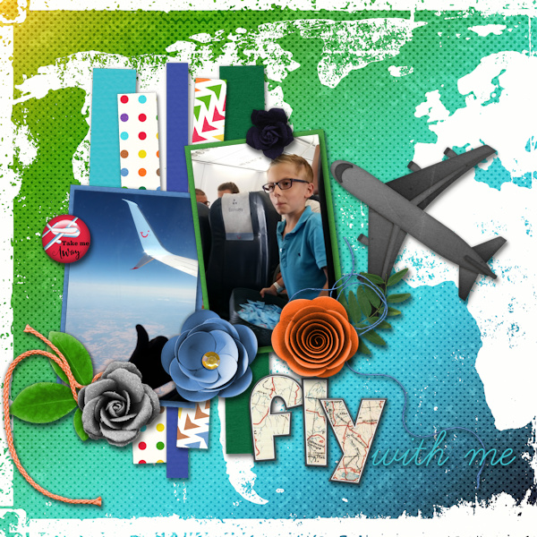 Fly