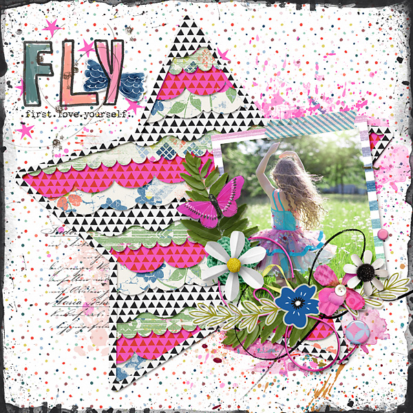 Fly
