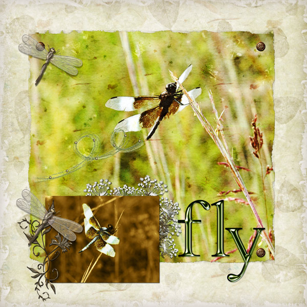 Fly