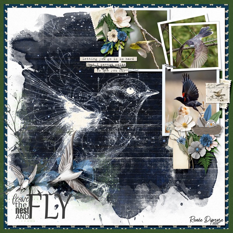 Fly!