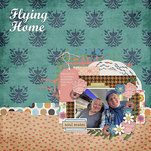 Flying Home