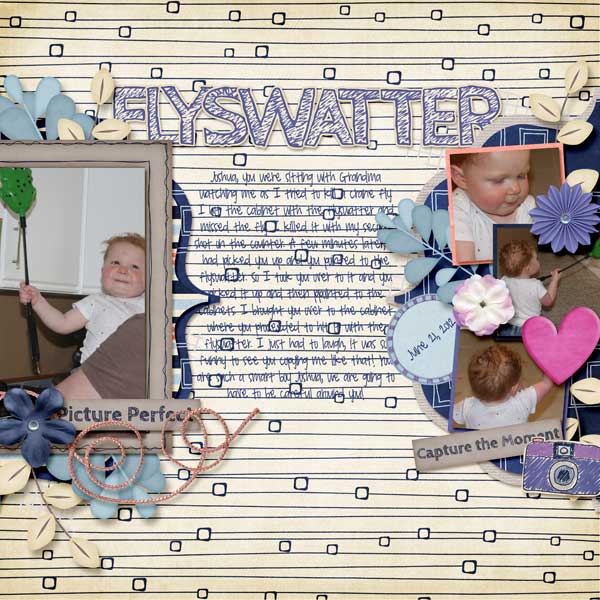 Flyswatter