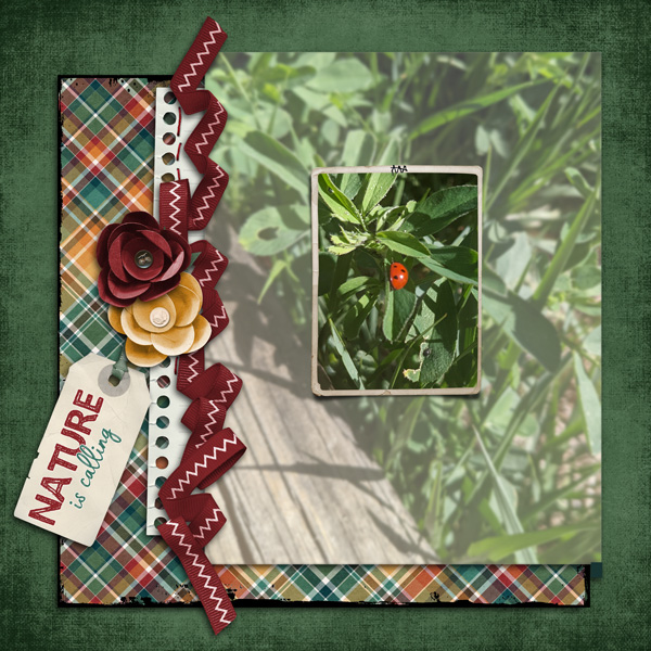 focus frame challenge
