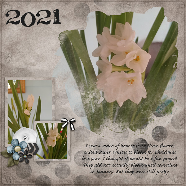 Focus Group 2 Template #4-Miss Fish