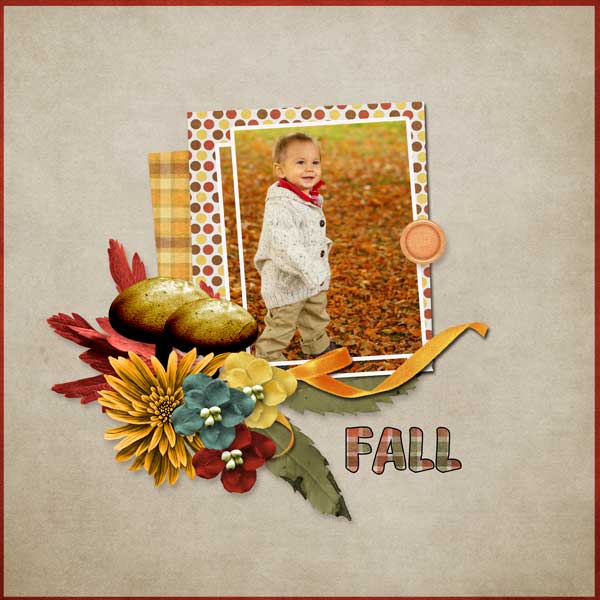 focus-on-fall-lisa-minor.jpg