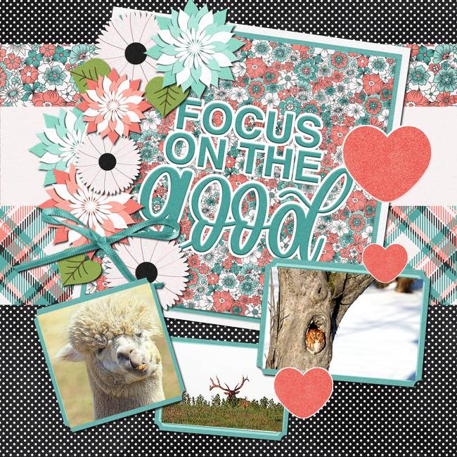 Focus on the Good
