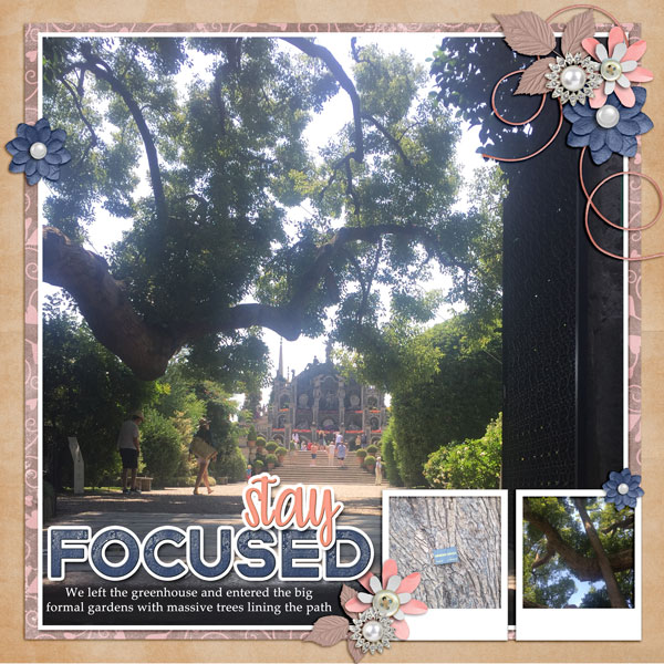 Focused on Trees